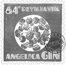 64 DEGREE REYKJAVIK, ANGELICA GIN, ISLAND 50CL, 43%, VOL. logo