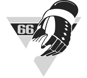66 logo