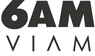 6AM VIAM logo
