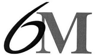 6M logo