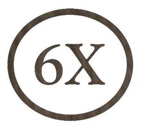 6X logo