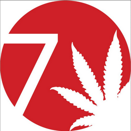 7 logo