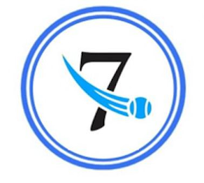 7 logo