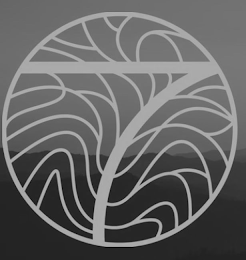 7 logo