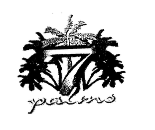 7 PALMS logo