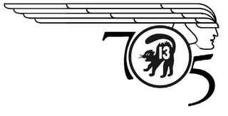 705 13 logo