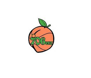 706ERZ logo