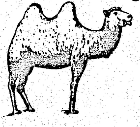 Trademark