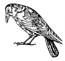 Trademark