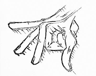 719 logo