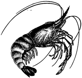 Trademark