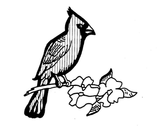 Trademark