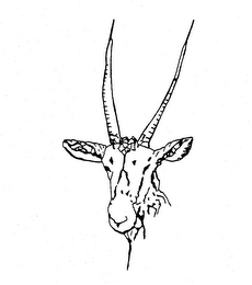 Trademark