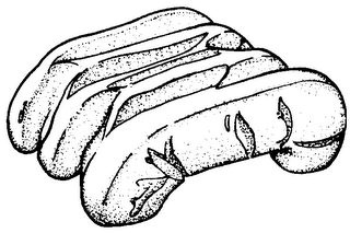 Trademark