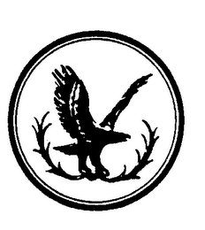Trademark