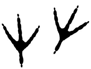 Trademark