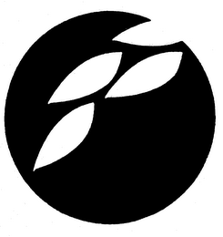 Trademark