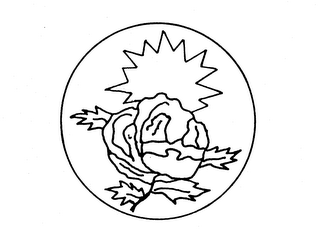 Trademark