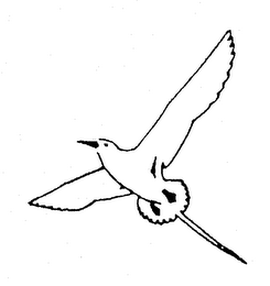 Trademark