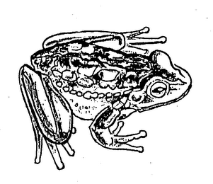 Trademark logo