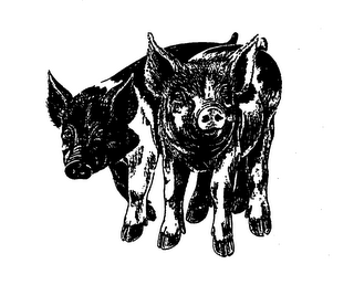 Trademark logo