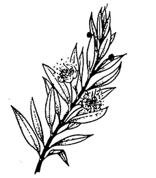 Trademark logo