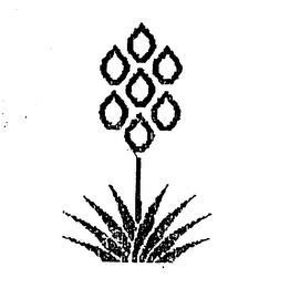 Trademark