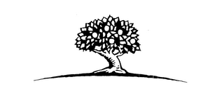 Trademark
