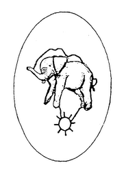 Trademark