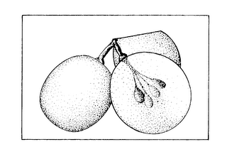 Trademark logo