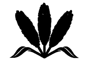 Trademark