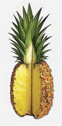 Trademark logo
