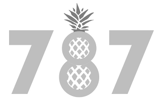 787 logo