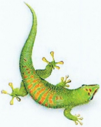 Trademark logo