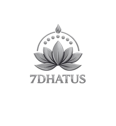 7DHATUS logo
