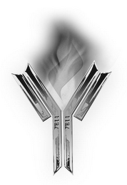 7E11 logo