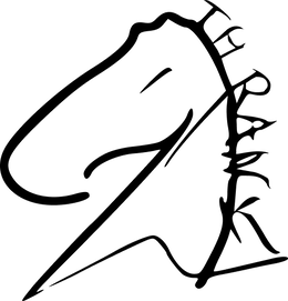 7TH RANK logo