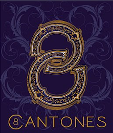 8 C8ANTONES logo