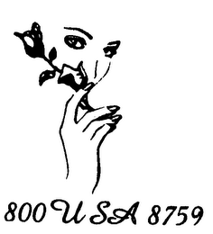 800 USA 8759 logo