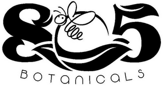 805 BOTANICALS logo