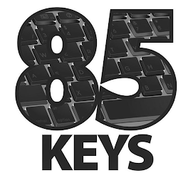85 KEYS "# 3 $ 4 6 & 7 *8 W E R T Y A S D G H X B N CONTROL OFF OPTION logo