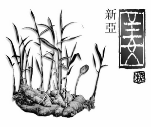 Trademark logo