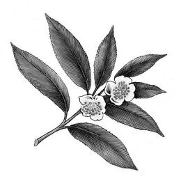 Trademark