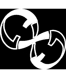 8SS logo