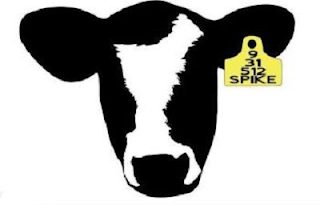 9 31 512 SPIKE logo