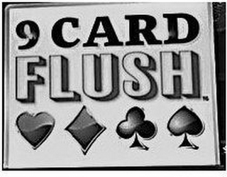 9 CARD FLUSH logo