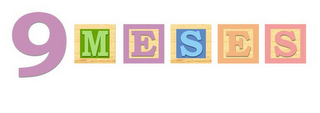 9 MESES logo