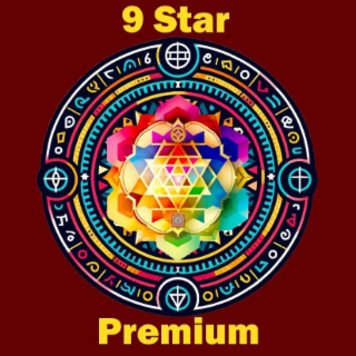 9 STAR PREMIUM logo