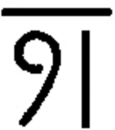 91 logo
