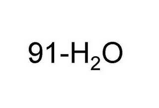 91-H20 logo